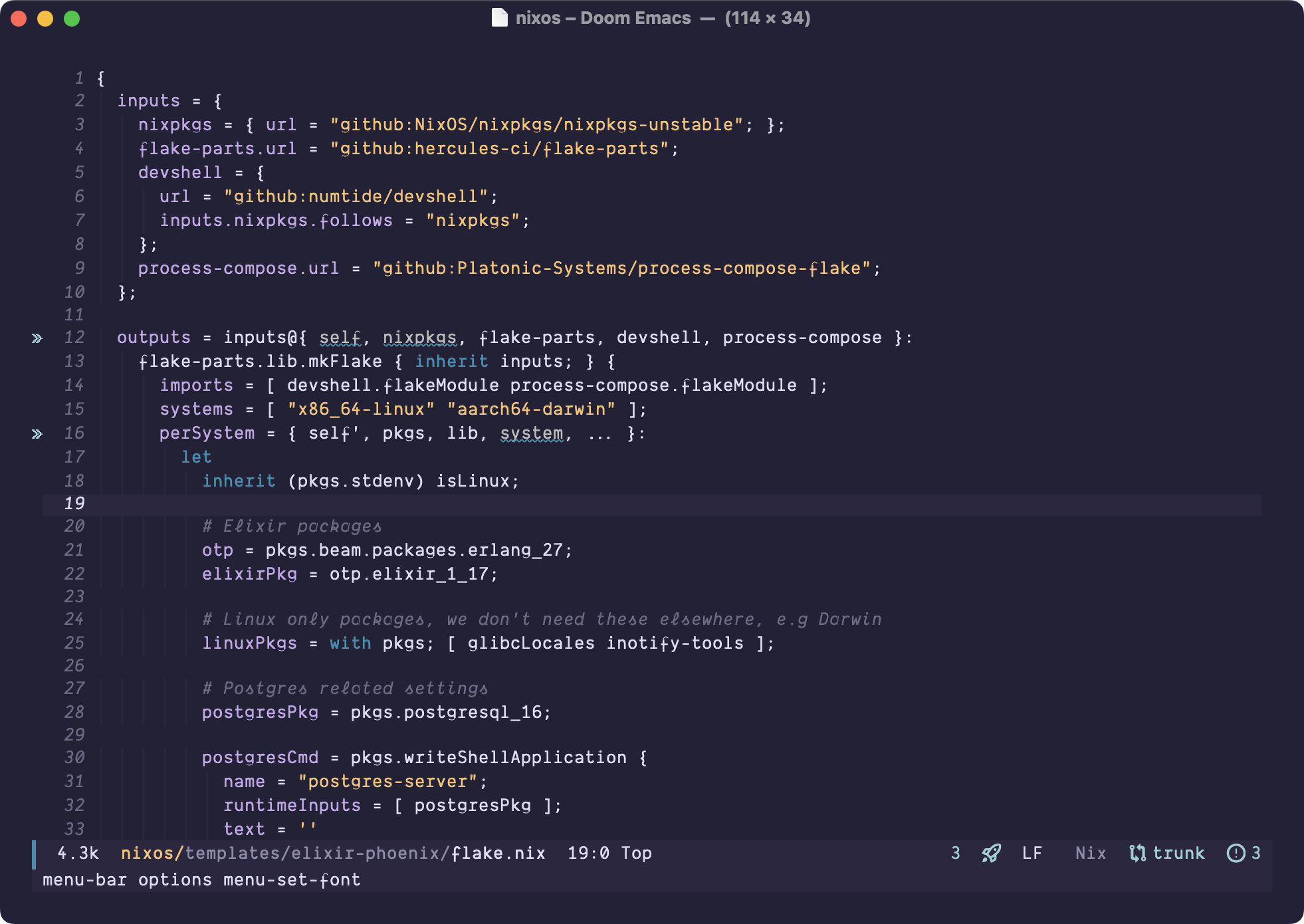 A screenshot of Emacs showing some Nix code in the Dank Mono font.