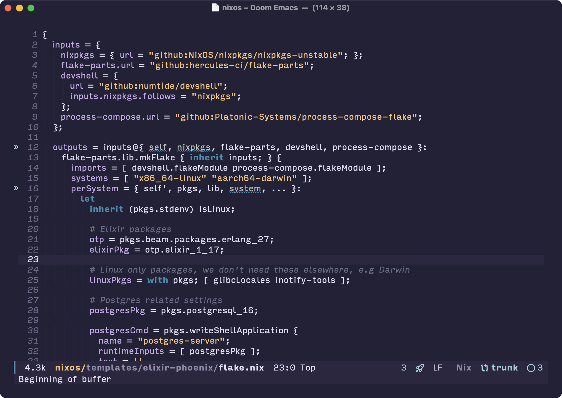 A screenshot of Emacs showing some Nix code in the Input Sans font.